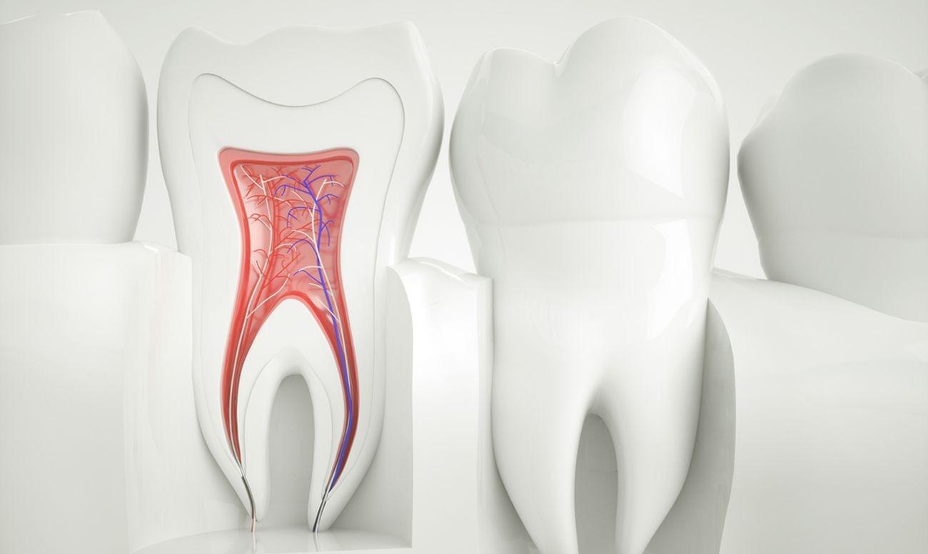 How to Care for Your Tooth After a Root Canal?