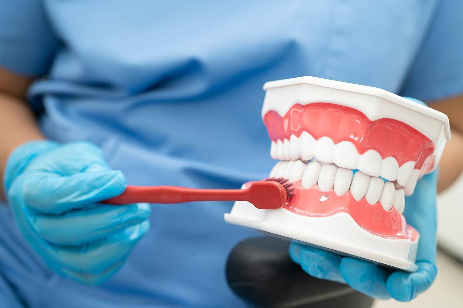 Tooth Brushing Techniques